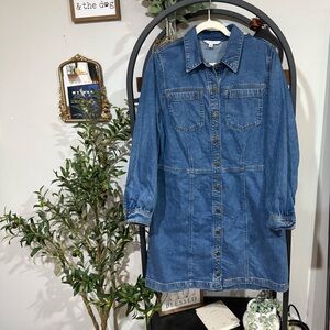 Ophelia Roe Denim Long Sleeve Dress plus size size 18